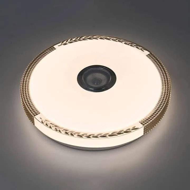 Smart LED Ceiling light