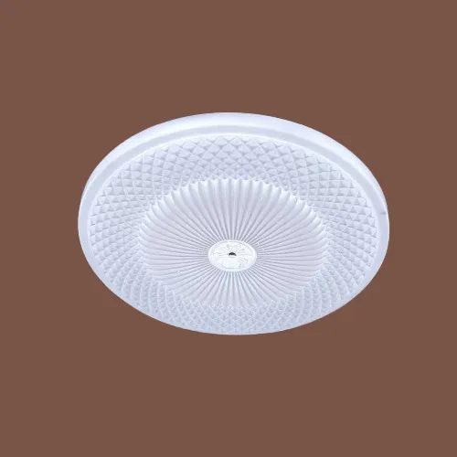 LED Ceiling Light