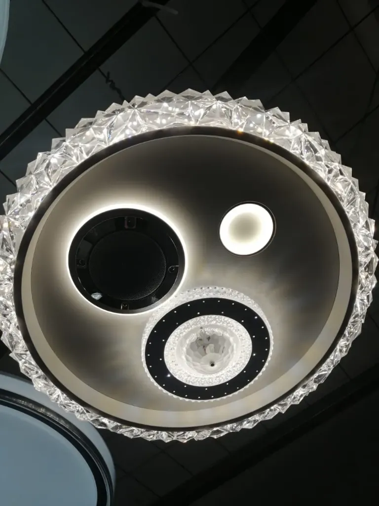 Modern Decorative LED Ceiling Lamp