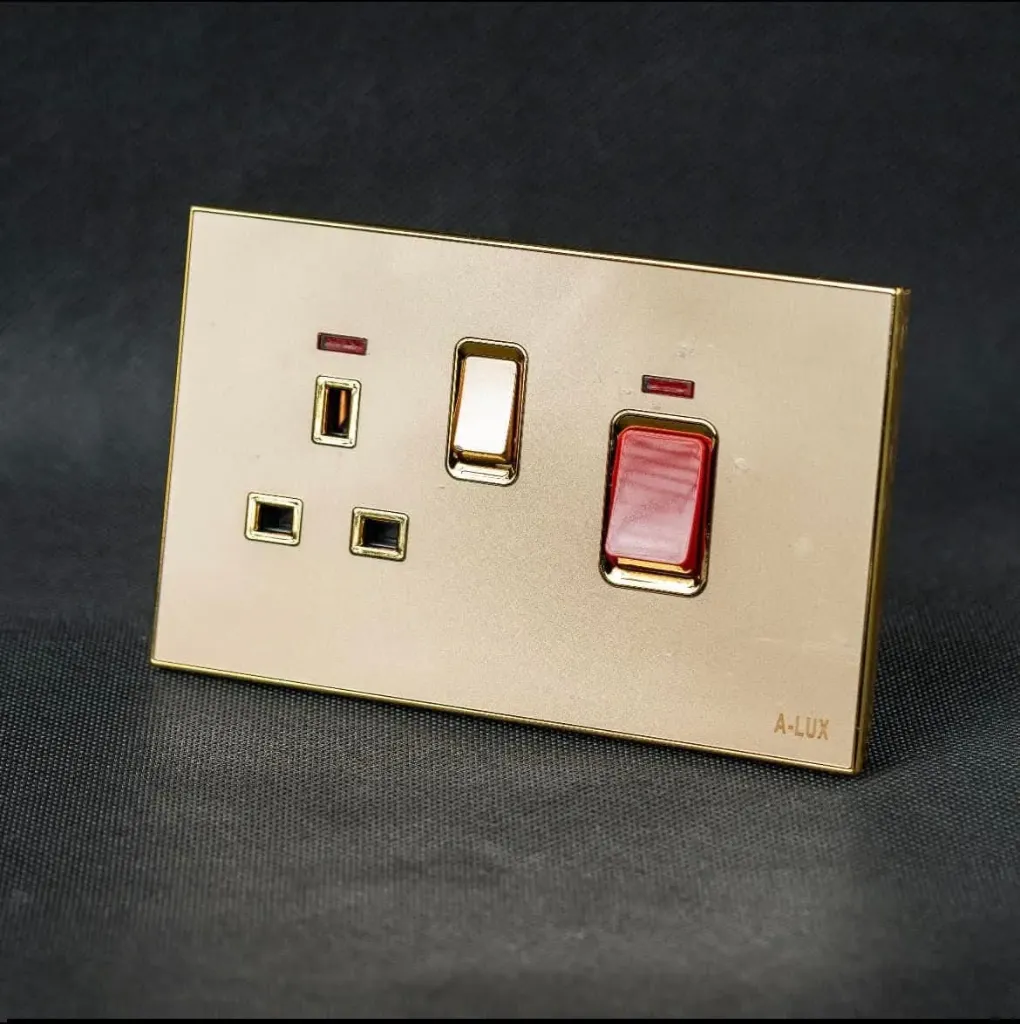 Gold Cooker Control Unit